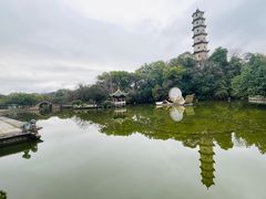 -江心屿景区
