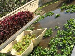 -西双版纳融创皇冠假日度假酒店