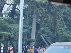 -武汉长江大桥