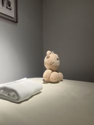 -三只熊皮肤管理中心旗舰店
