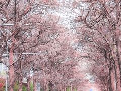 -亦庄创意生活广场