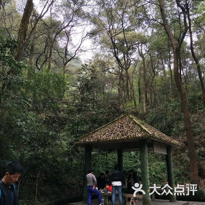 歌樂山國家森林公園