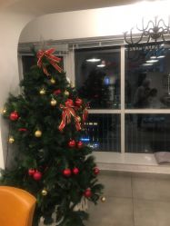 -净漪造型 PURE RIPPLE