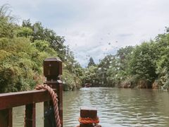 -西溪国家湿地公园