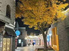 -龙湖星悦荟(颐和店)