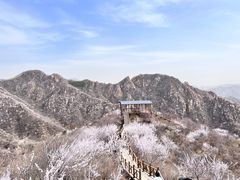 -大岭沟猕猴桃谷风景区