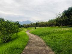 -福建鲤鱼洲酒店