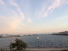 -台场海滨公园船码头