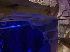 -西安电影制片厂