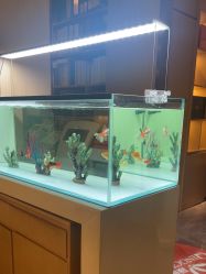 -香港倾城国际·美容美体中心