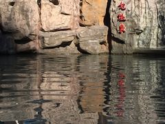 -裕龙汤泉