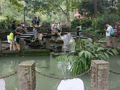 -成都市活水公园