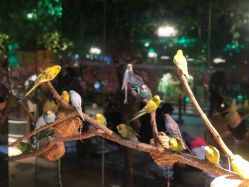 -酷嗒动物文化乐园(cutezoo西溪乐天城店)