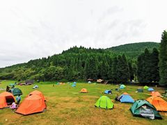 -武陵山森林公园