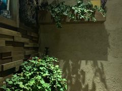 -龙井壹号·茶缘山景宴(龙井村店)