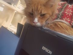 -爪爪喵星球·猫舍(卓悦中心店)