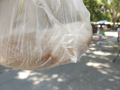 -殷姐糯米包油条