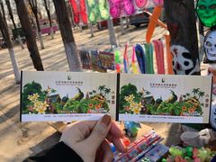 -呀路古热带植物园