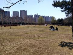 -蒲河岛湿地公园