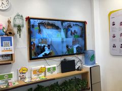 -金色雨林感统学能培训中心(武广校区)