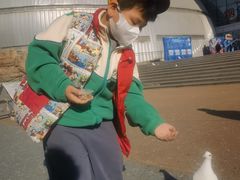 -烟台海昌鲸鲨海洋公园