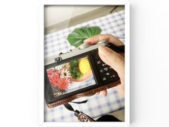 -红瓜子 影视后期 摄影摄像设计 新媒体运营技能培训(宝安校区)