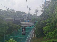 -圣淘沙天际线斜坡滑车