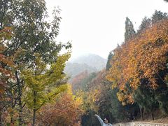 -北京鹫峰国家森林公园