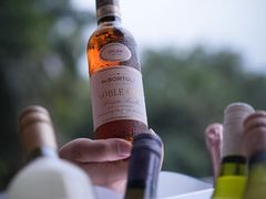 -亚龙湾喜来登·美景台大堂吧