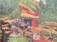 -南岳衡山风景名胜区-南岳大庙