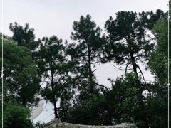 -南昌动物园