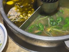 -巴奴毛肚火锅(广益哥伦布店)