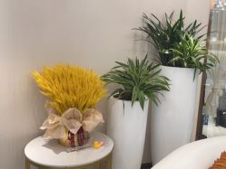 -丽美妍医疗美容·皮秒·立体分层抗衰