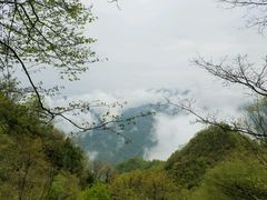 -塔云山