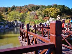 -北京西山国家森林公园