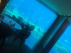 -亚特兰蒂斯•OSSIANO奥西亚诺海底餐厅