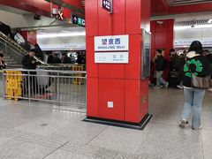 -望京西(地铁站)