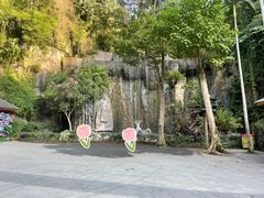 -西双版纳原始森林公园