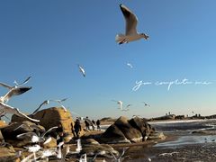 -老虎石海上公园