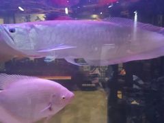 -秦桥足道·SPA·影院(万达店)