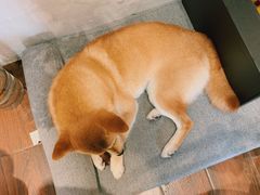 -About Bistro關於·泰式家庭料理