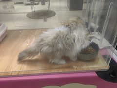 -丽达购物中心(崂山店)