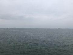 -演武大桥观景平台