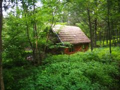 -五营红松林海景区