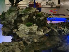 -佬麻雀·新湘菜(珠海金发购物中心店)