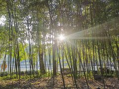 -兰亭风景区