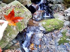 -藏龙百瀑风景区