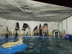 -太平洋海底世界