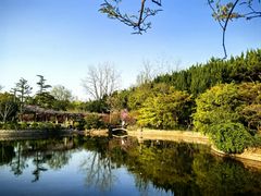 -嘉定紫藤园