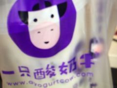 -一只酸奶牛(八一路店)